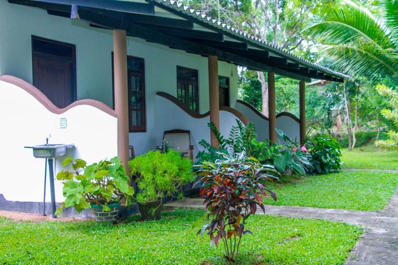 Nimsara Lodge Sigiriya Exterior foto