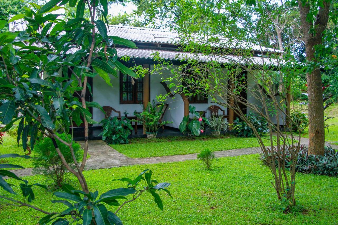 Nimsara Lodge Sigiriya Exterior foto
