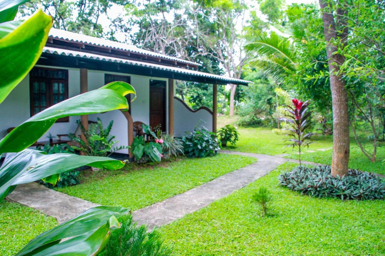 Nimsara Lodge Sigiriya Exterior foto